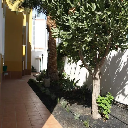 Hotel Las Dalias Playa del Ingles (Gran Canaria)